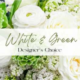 Green & White Designers Choice