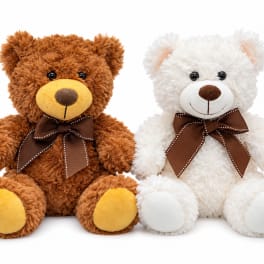 Two teddy bears with brown ribbons on a white background