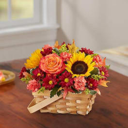 Fields of Europe™ for Fall Basket