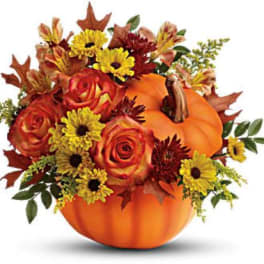 Warm Fall Wishes
