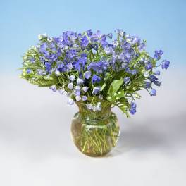 Blue-purple flowers arranged in a clear glass vase