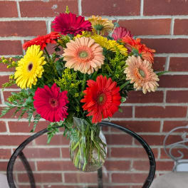 Mixed gerbera daisy bouquet in a clear glass vase