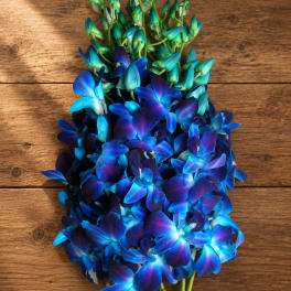 Blue and purple orchid bouquet on a wooden surface