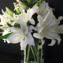 White lilies arranged in a clear glass vase