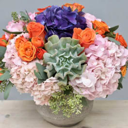 Oranges and Succulents - WeHo