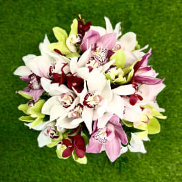 TROPICAL ORCHID CLUTCH BOUQUET