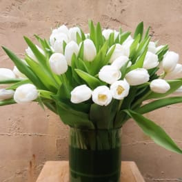 White tulips arranged in a clear glass vase
