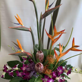 Tall tropical arrangement with orange bird-of-paradise and purple orchids in a black container