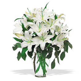 White lilies arranged in a clear glass vase