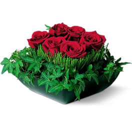 Red roses arranged in a low green container with ivy around the base