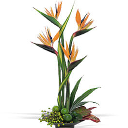 Tall tropical arrangement with orange bird-of-paradise flowers in a low black container