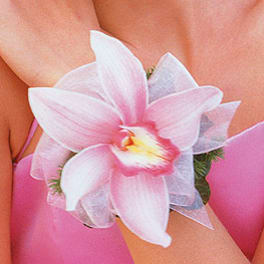Pink orchid corsage on a wrist with a sheer ribbon