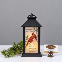 Black lantern with a cardinal memorial insert and a small greenery sprig beside it