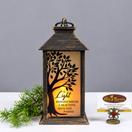 Black lantern with a tree silhouette and memorial text, lit from within