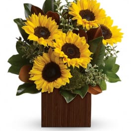Sunflower arrangement in a rectangular wooden container