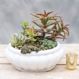 Succulent arrangement in a white ceramic bowl with a small gold candle holder beside it