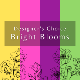Graphic with colorful stripes and floral line art reading Designer's Choice Bright Blooms