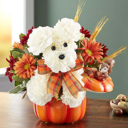 White floral dog arrangement in a pumpkin-shaped container with orange daisies