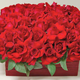 Rose Box