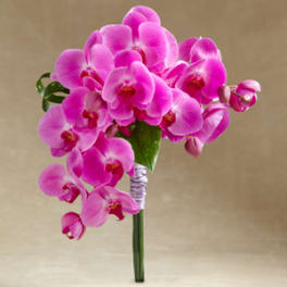 Pink orchid bouquet with a wrapped stem