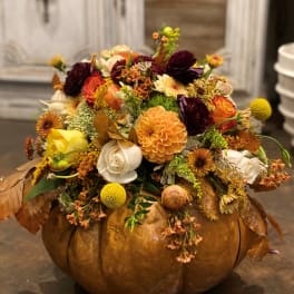 Fairytale Pumpkin