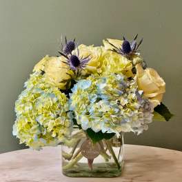 Compact arrangement of pale yellow roses, blue hydrangeas, and purple thistle in a clear glass cube vase.