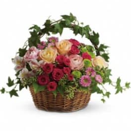Mixed pink and cream flowers in a wicker basket with ivy