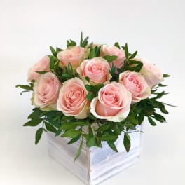 Pink roses arranged in a white wooden box with greenery