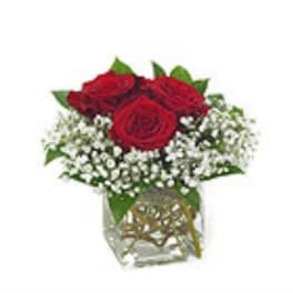 Red roses with baby's breath in a clear glass vase