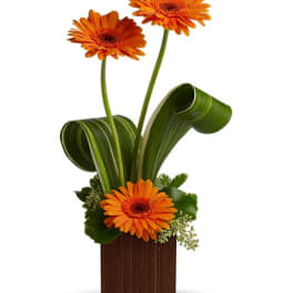 Orange gerbera daisies in a tall wooden vase with curled green leaves