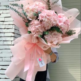 Large bouquet of pale pink hydrangeas wrapped in pink paper