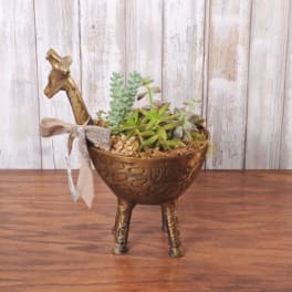 Succulent arrangement in a bronze animal-shaped planter with a ribbon bow