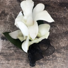 White orchid corsage with a black ribbon
