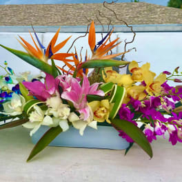 Tropical flower arrangement with bird of paradise and orchids in a low container