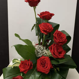 Arrangement of red roses with white filler flowers and broad green leaves