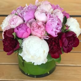Pink and white peonies arranged in a green glass vase
