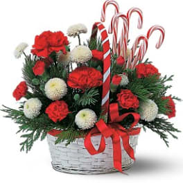 Candy Cane Basket