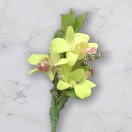 Small lime-green orchid boutonniere with pink accents