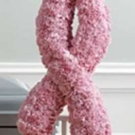 Pink Ribbon Spray