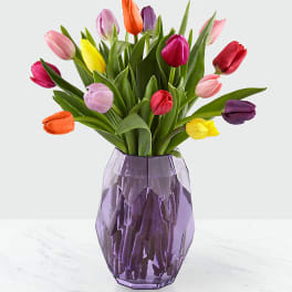 Colorful tulips arranged in a purple glass vase