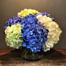 Blue, white, and green hydrangeas in a glass vase