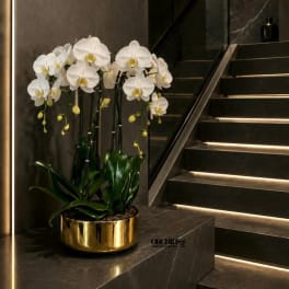 White orchids in a gold planter on a dark staircase landing.