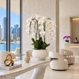 White orchids in a large white pot on a marble table in a modern lobby