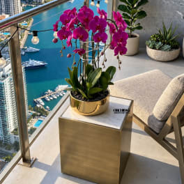 Pink orchid plant in a gold pot on a balcony table