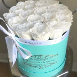 White roses arranged in a turquoise round box with a white ribbon