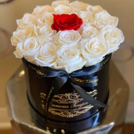 White roses with one red rose in a black round box