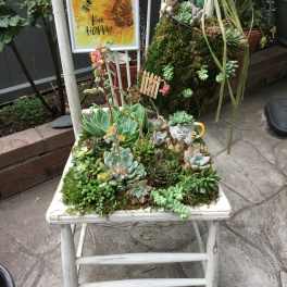 Succulent arrangement on a white chair with a bee-themed sign