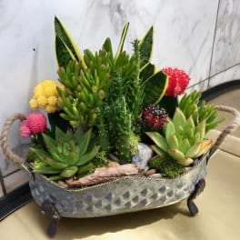 Succulent arrangement in a metal basket with colorful cactus accents