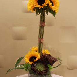 Sunflower arrangement in a square glass vase with decorative accents