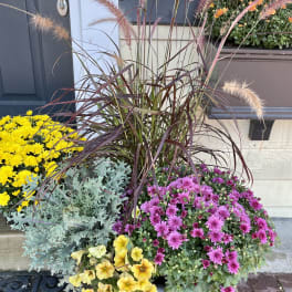 Mixed potted flowers with pink and yellow blooms and tall ornamental grass